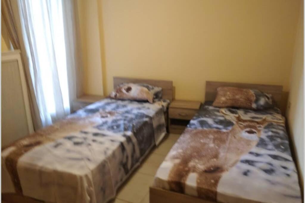 Debby'S Central Apartment Kawala Zewnętrze zdjęcie
